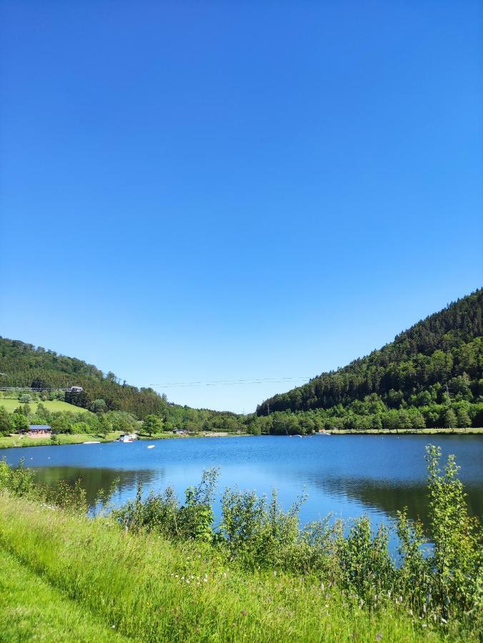 Zentrale Und Gemuetliche Ferienwohnung In Winterberg Nah An Der Natur Dış mekan fotoğraf