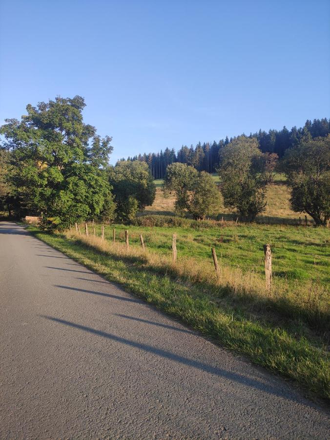 Zentrale Und Gemuetliche Ferienwohnung In Winterberg Nah An Der Natur Dış mekan fotoğraf