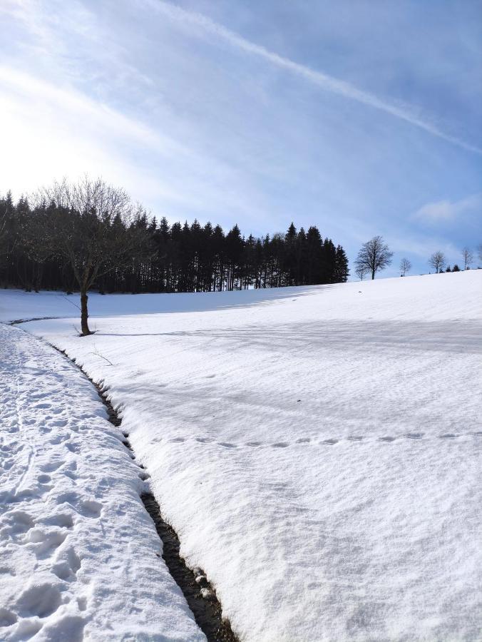 Zentrale Und Gemuetliche Ferienwohnung In Winterberg Nah An Der Natur Dış mekan fotoğraf