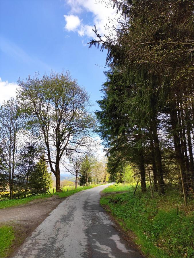 Zentrale Und Gemuetliche Ferienwohnung In Winterberg Nah An Der Natur Dış mekan fotoğraf